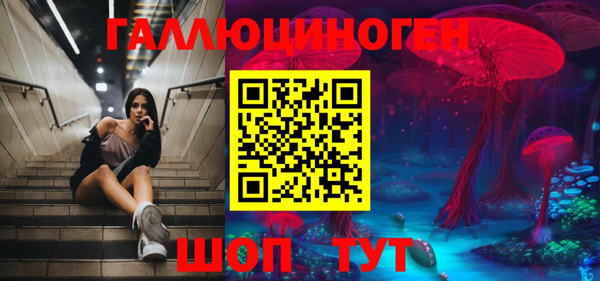 Псилоцибиновые грибы Psilocybe Верхняя Салда
